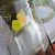 Citron de Provence  - Melchior Viallet