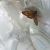 Amaryllis  - Melchior Viallet