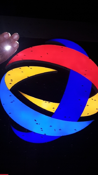 Pyrale du Buis  - Melchior Viallet