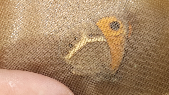 Tityre (Ocellé rubané)  - Melchior Viallet