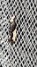 Monopis monachella  - Melchior Viallet