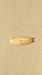Agonopterix pallorella  - Melchior Viallet