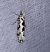 Ypsolopha sequella  - Thomas Lux
