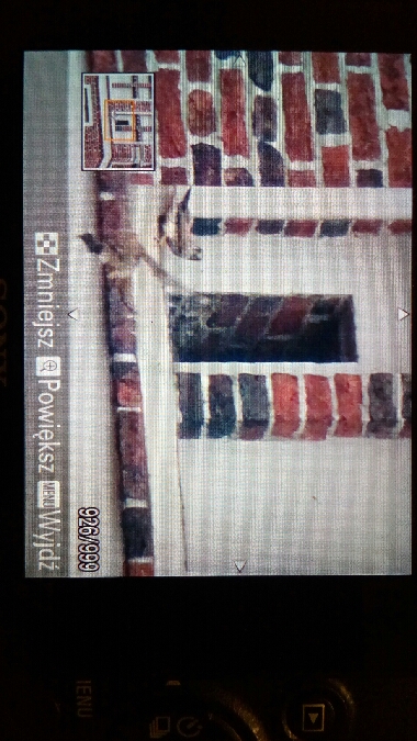 Turmfalke  - Marek Bebłot