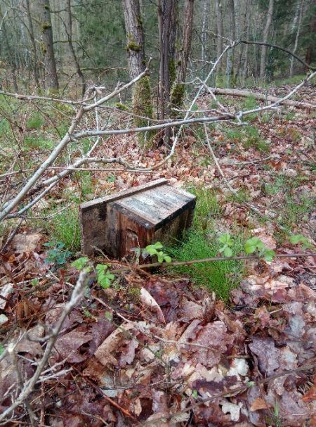 Great Tit  - Konrad Bieńkowski