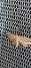 Idaea infirmaria  - Melchior Viallet
