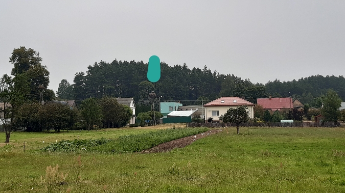 bocian biały  - Krzysztof Sokołowski