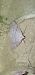 Adactylotis gesticularia  - Melchior Viallet