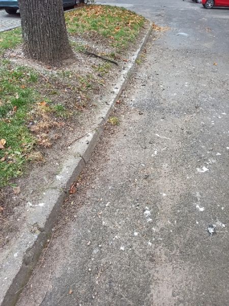 uszatka  - Jarosław Słowikowski