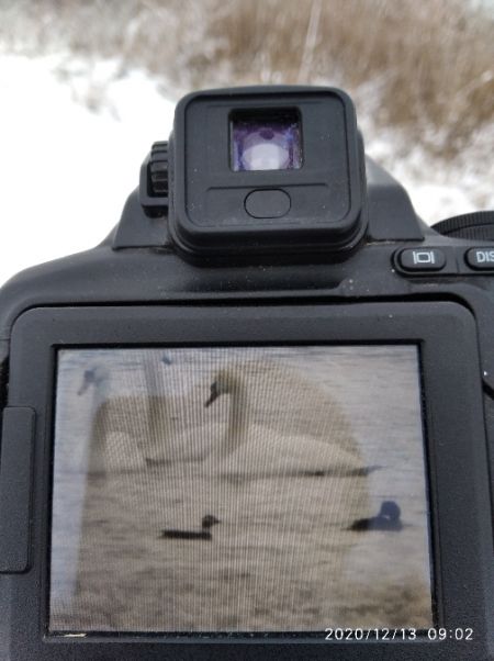 lodówka  - Andrzej Lipiński