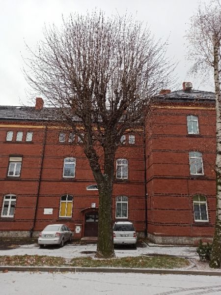 Hibou moyen-duc  - Jarosław Słowikowski