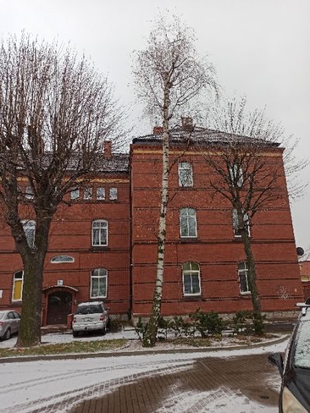 Hibou moyen-duc  - Jarosław Słowikowski