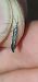 Coleophora deauratella  - Melchior Viallet