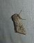 Orthosia incerta 