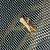 Acleris hastiana 