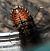 Holcogaster fibulata  - Thomas Lux