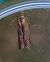 Ancylosis cinnamomella  - Thomas Lux