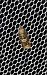 Epiblema costipunctana  - Sylvain Lethuillier