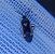 Deraeocoris cordiger 