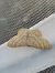 Idaea deversaria  - Thomas Lux