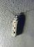 Ethmia dodecea 