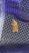 Acleris schalleriana  - Melchior Viallet