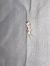 Ypsolopha asperella  - Sylvain Lethuillier
