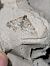 Epirrhoe molluginata  - Thomas Lux