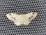 Idaea trigeminata  - Thomas Lux