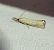 Agriphila straminella  - Thomas Lux
