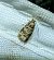Lobesia sp. 
