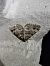 Mesotype didymata  - Thomas Lux