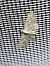 Eupithecia impurata  - Thomas Lux