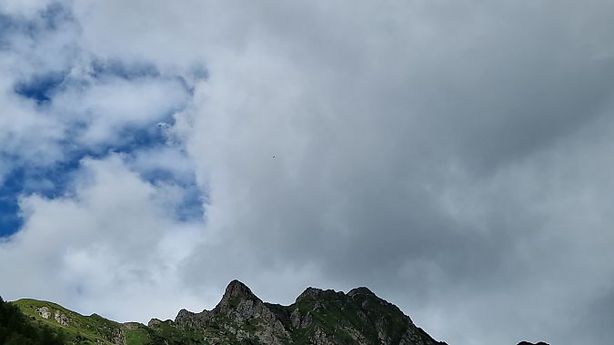 Aquila reale  - Paolo Pietrobon (FVG)