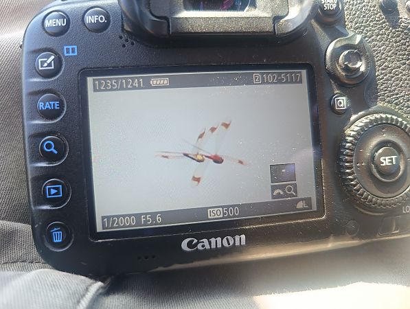 szablak przepasany  - Michał Polakowski