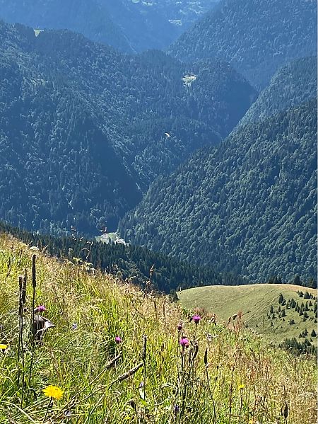 Grifone  - Lavinia Garibaldi (FVG)