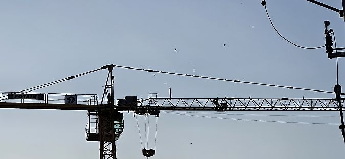 oknówka  - Anna Kamilewicz-Wicik