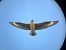 Skua  - Pelle Annen