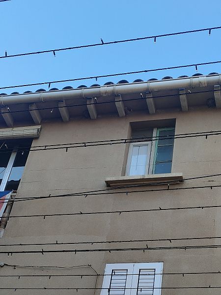 Oreneta cuablanca  - Luna Del Puerto NÚÑez