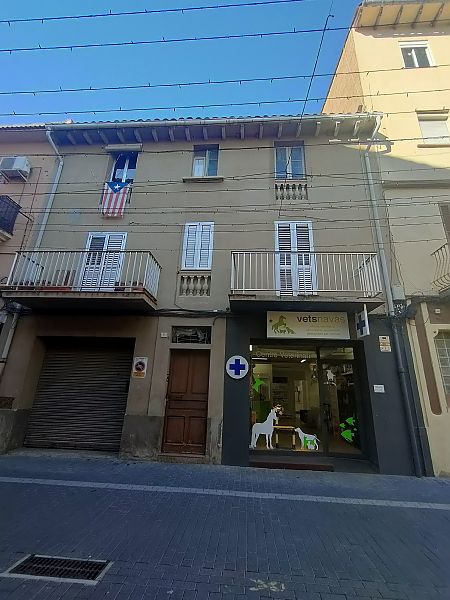 Oreneta cuablanca  - Luna Del Puerto NÚÑez