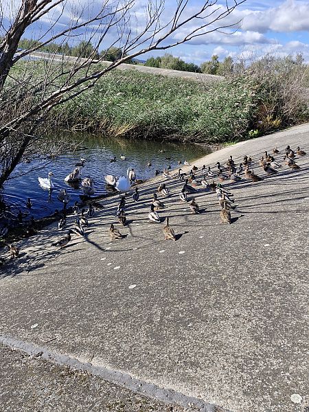 krzyżówka  - Tomasz Zarzycki
