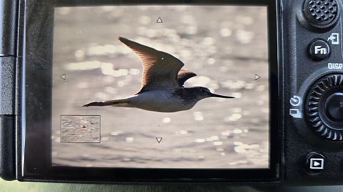 kwokacz  - Michał Wnuk