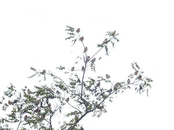 jer  - Kacper Mikulski