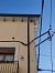 Oreneta cuablanca  - Luna Del Puerto NÚÑez