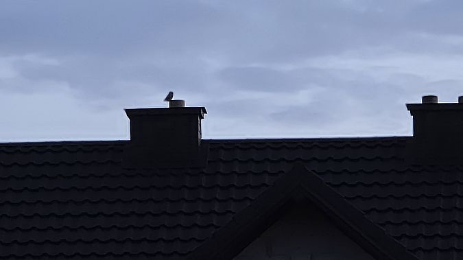 pójdźka  - Przemysław Stachyra