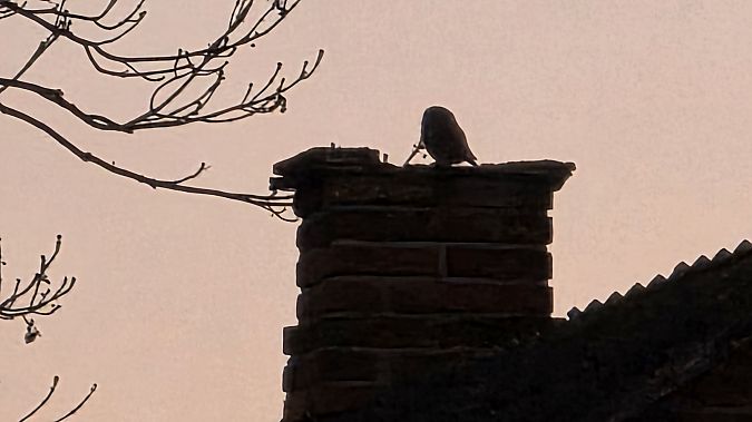 pójdźka  - Przemysław Stachyra