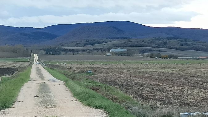 Kurrilo arrunta  - Azaitz Unanue