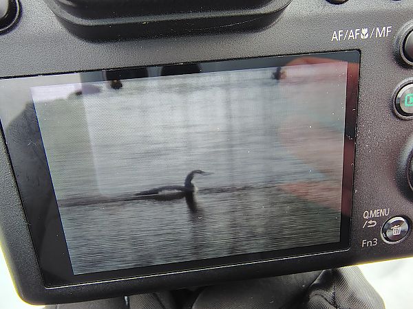 lodowiec  - Adam Pyzik