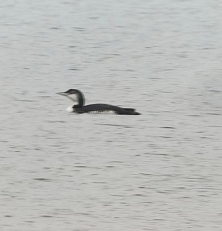 lodowiec  - Przemysław Kopacz