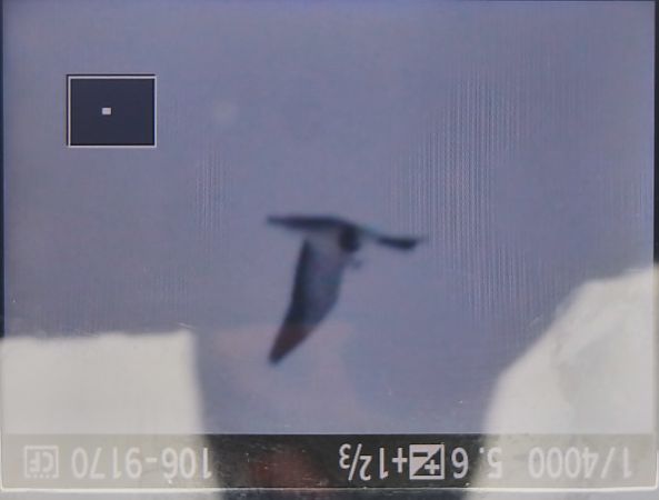 ohar  - Tadeusz Sobuś